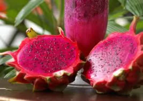 Dragon fruit juice 